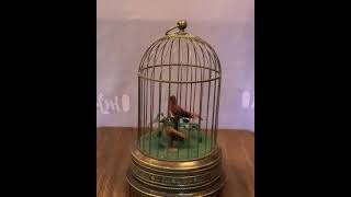 Two Singing Birds in Modern Metal Cage [upl. by Madox]