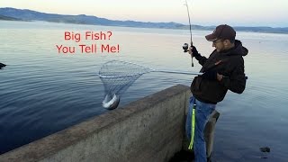 Trout Fishing with POWERBAIT at Strawberry Reservoir [upl. by Salome]