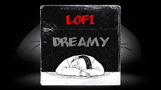 FREE LOFI DRUM KIT 2024  quotDREAMYquot [upl. by Naened347]