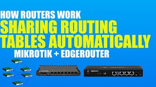 OSPF Between Brands  How Routers Work  CNNA amp Network Concepts [upl. by Maziar441]