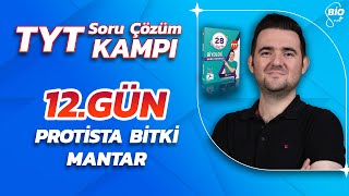 Protista Bitki Mantar Soru CÌ§oÌˆzuÌˆmuÌˆ 21 GuÌˆnde TYT Biyoloji KampÄ±12 [upl. by Pepin881]