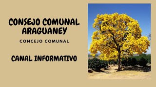 Noti Araguaney 19 10 2024 Taller Agenda Concreta de Acción con los 21 Consejos Comunales [upl. by Susanetta573]