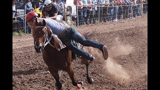 Carreras de Caballos en Huasabas 12 de Agosto 2017 [upl. by Aehsal635]