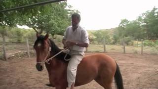 Doma India Horse Training [upl. by Nikolaos359]