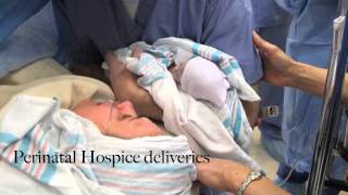 Perinatal Hospice Video [upl. by Harlamert859]