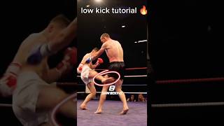 low kick tutorial muaythai [upl. by Llaccm]