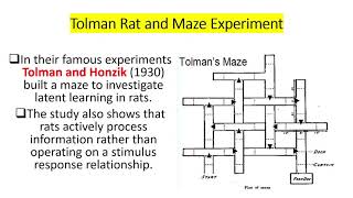 Tolman’s Theory of Learning Sign Learning  Latent Learning Maze and Rats Experiment  with MCQs [upl. by Eugenia]