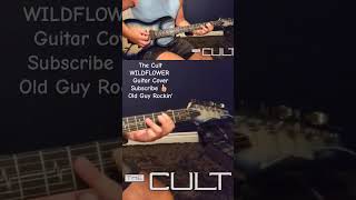 The Cult Wildflower guitar cover guitarcover thecult 80srock music [upl. by Niuqaoj]