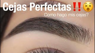 Cejas Perfectas Facil Paso a Paso  Monika Sanchez [upl. by Bough]