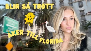 FLORIDA VLOGG  VAD GJORDE JAG HÄR FÖR 8 ÅR SEN [upl. by Ahsiele427]