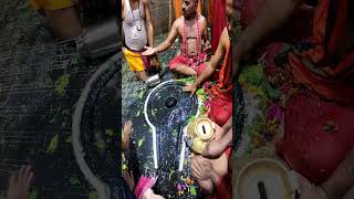 Baba baidyanath dham live darshan babadham deoghar harharmahadev jharkhand [upl. by Lily]