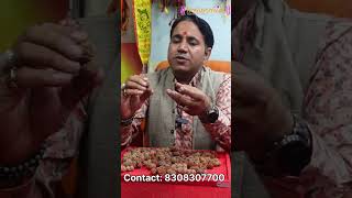 Gauri Shankar Rudraksha Benefits  marriage life gauri shankar protect positive effect om [upl. by Allehcim]