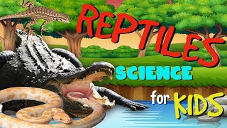 Reptiles  Science for Kids [upl. by Broek]