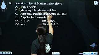 A sectional view of Mammary gland shows A Nipple Areola B Mammary lobe alveolu [upl. by Necila]