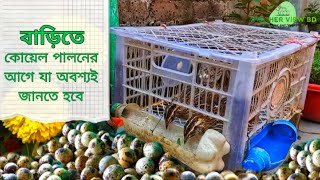 গুরুত্বপূর্ণ তথ্য যা না জানলে ঠকে যাবেন।পরিবারের চাহিদা মেটাতে সহজে কোয়েল পাখি পালনের সবকিছু আলোচনা। [upl. by Greff75]