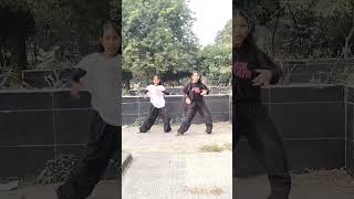 illegal Weapon♥️💫 new dance short video trending song yutubeshorts [upl. by Laurin]