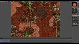 Tibia Hive  Tibia 17  ek solo [upl. by Lednyk265]