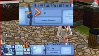 Sims 3  Lifetime Happiness Cheat [upl. by Marsland]