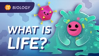 Introduction to Biology Crash Course Biology 1 [upl. by Elem]