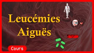 🎗️ Leucémie Aigue 🩸  symptômes🤧 traitements💉  Cours  Hématologie [upl. by Sidoon91]