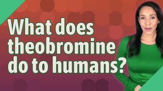 What does theobromine do to humans [upl. by Mastrianni964]