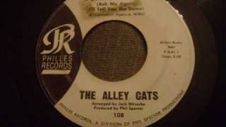 Alley Cats  Puddin N Tain  Early Phil Spector Production  Great Doo Wop Rocker [upl. by Sheff106]