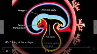 General Embryology  Volume III  Islam Raky [upl. by Norted]