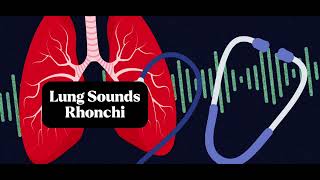 Understanding Rhonchi Lunch Sounds Accurate Lung Assessment [upl. by Babs]