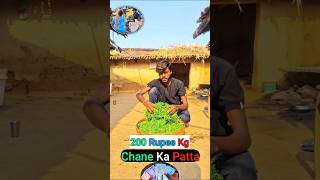 ₹200 Kg Chane Ka Patta 🌿 Ep5 newminivlog vlog minivlog shorts [upl. by Dionne]