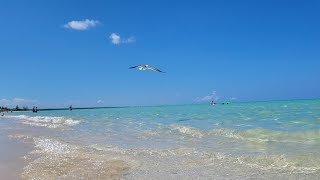 360 Cayo Coco Memories Caribe October 2024 [upl. by Eninotna]