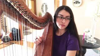 Little One from Detroit Become Human harp cover [upl. by Mowbray]