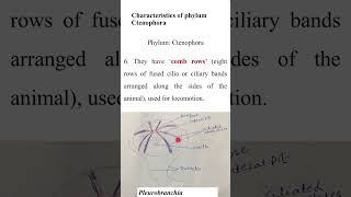 Characteristics of Ctenophorazoologyshort QuestionADSBs [upl. by Soilissav]