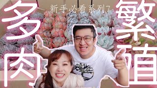 【新手必看】EP7 多肉植物的繁殖｜變成多肉富翁 葉孵amp胴切｜韓肉入盆｜花田綠地｜超好用園藝資材開箱｜AampSs Succulent Leaf Propagation [upl. by Eaton]