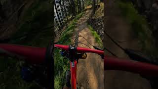 Bikepark Špičák Black Friday pt2 [upl. by Robinia]