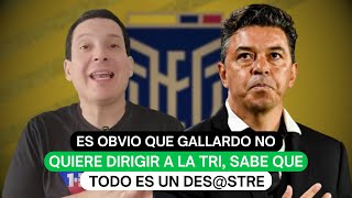 Es obvio que Gallardo no quiere dirigir a la Tri sabe que todo es un desstre [upl. by North]