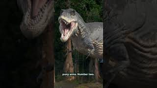 5 Weirdest Facts About Dinosaurs [upl. by Darn]