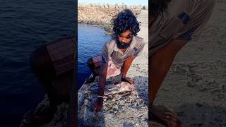 Young Man Using Big Fish to Catch Variety Fishes fishing fishingvideos thoondilulagam seafishing [upl. by Dez]