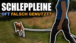 Wie DEINE Einstellung alles verändert Schleppleine ersetzt keinen Freilauf [upl. by Nyhagen309]