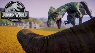 Iguanodon vs All Medium Carnivore Dinosaurs  DefeatKill Animations  Jurassic World Evolution [upl. by Ttenaj37]