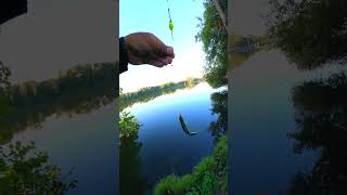 Ich teste eure Tipps gegen Grundeln POSE grundeln angeln fishing [upl. by Darrell409]