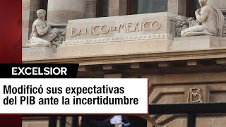 Banxico redujo sus expectativas de crecimiento para México a 24 [upl. by Amsirak]