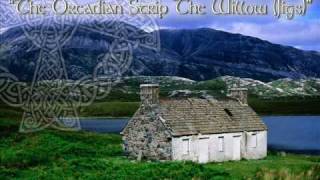 The Occasionals The Orcadian Strip The Willow Scottish Jigs [upl. by Eedebez]