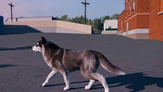 HUSKY DOG SIMULATOR PC GAMEPLAY [upl. by Arahsak]