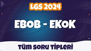 Ebob Ekok  Tüm SORU TİPLERİ  LGS 2024 [upl. by Jp]