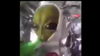 Alien meme song Patlamaya Devam Official VideoFullHDmp4 [upl. by Leik740]