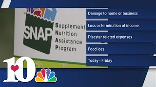 Application open for Disaster SNAP program helping households impacted by Hurricane Helene [upl. by Lamee]