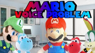 SKB Mario’s voice Problem [upl. by Sarina]