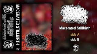 Macerated Stillbirth  st MC FULL ALBUM 2020  Gorenoise [upl. by Durwin164]