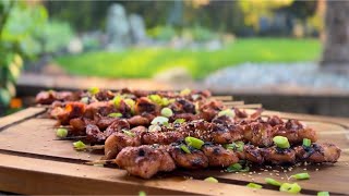 Korean Chicken Skewers [upl. by Eoz]