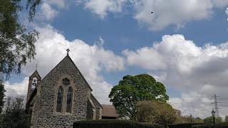 swifts 2021  Eglantine Parish Church Lisburn [upl. by Eilzel75]